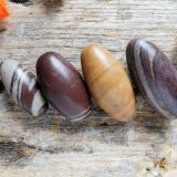 Shiva lingam (poleeritud)