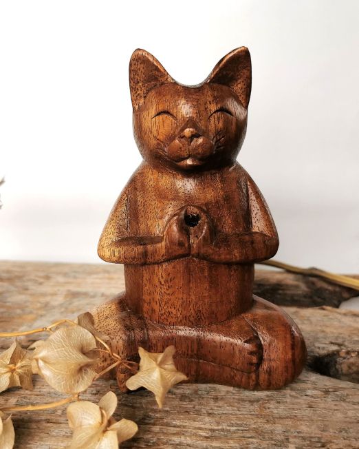 Viirukialus Kass koonusviirukile