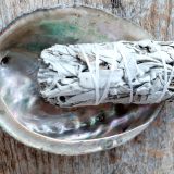 Salvei tõrvik merekarbialusega