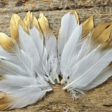 Valged suled kuldse otsaga